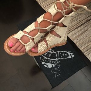 Freebird by Steven - Ceasar White Snake